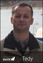 tedy